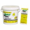 Cheapest ✔️ Tomcat Rat And Mouse Bait Place Pacs 🤩 -Farm & Ranch popular shop 7363778