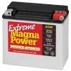 Top 10 ✨ Magna Power Power Sport AGM Battery 310 CCA 🧨 -Farm & Ranch popular shop img10633497
