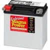 Hot Sale ⭐ Magna Power Power Sport AGM Battery 220 CCA 🎁 -Farm & Ranch popular shop img10633521
