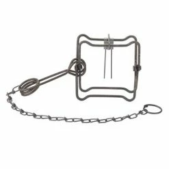 Coupon ✨ Duke Body Trap 🌟