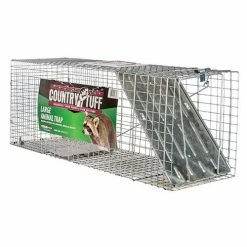 Coupon 👏 Country Tuff® Raccoon Cage Trap ⭐